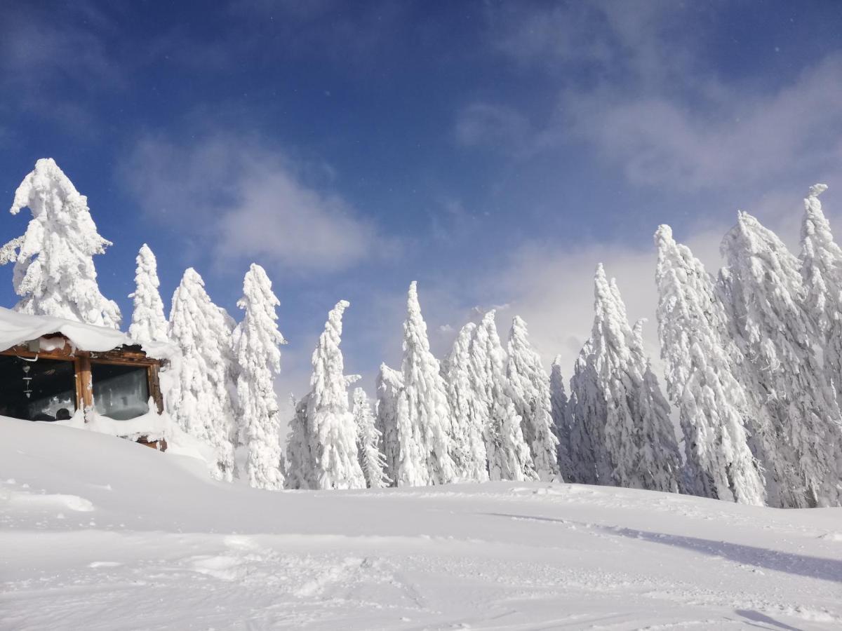 Haus Dienten Top 11 Dienten am Hochkoenig Luaran gambar